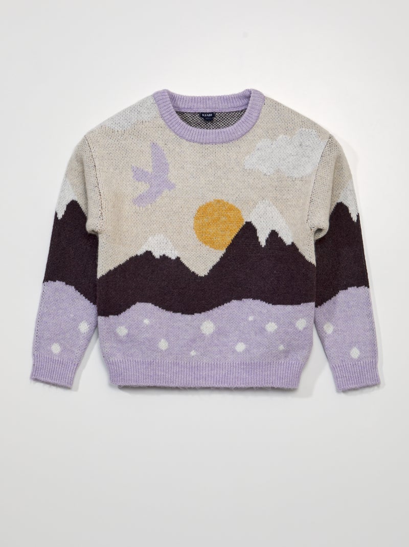 Pullover in jacquard con stampa intessuta VIOLA - Kiabi