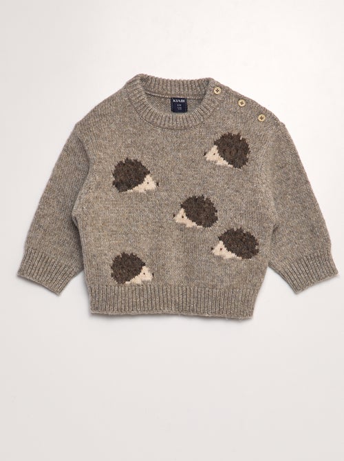 Pullover lavorato a maglia animali - Kiabi