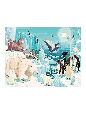 Puzzle & libro - il pianeta in pericolo, i ghiacciai | Sassi Junior