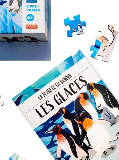 Puzzle & libro - il pianeta in pericolo, i ghiacciai | Sassi Junior - Kiabi