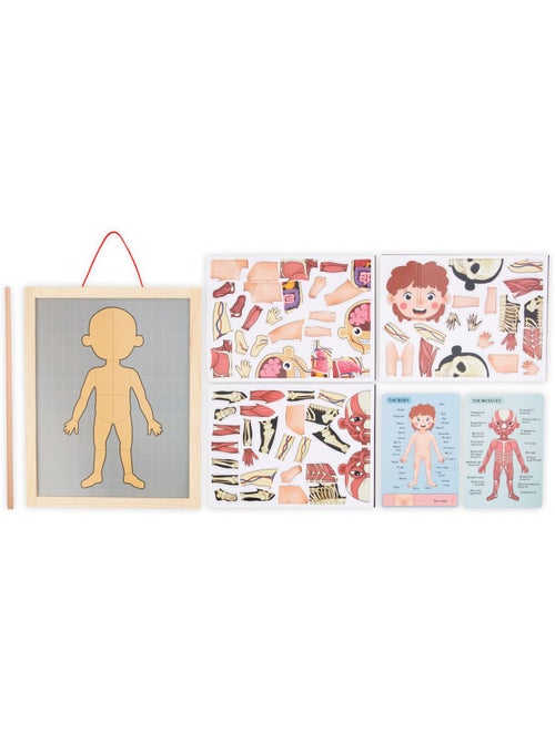 Quadro magnetico anatomia corpo umano legno mamabrum - Kiabi