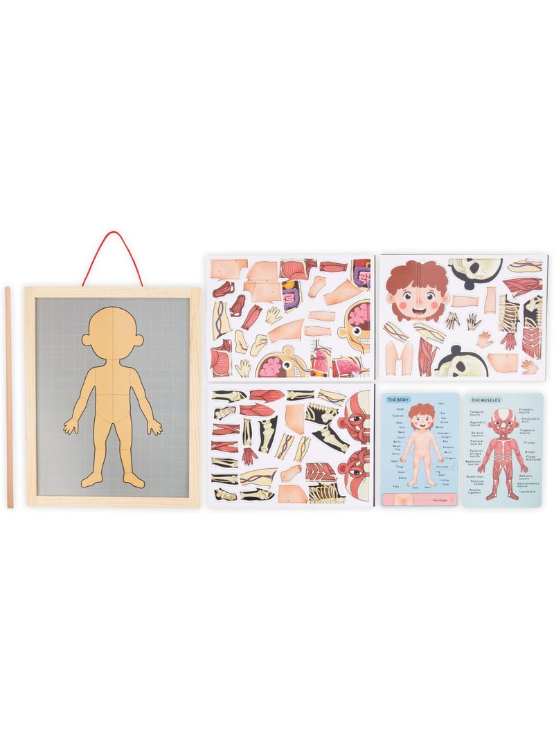 Quadro magnetico anatomia corpo umano legno mamabrum N/D - Kiabi