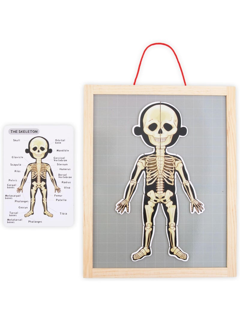 Quadro magnetico anatomia corpo umano legno mamabrum N/D - Kiabi