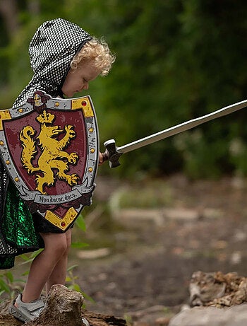 Scudo da cavaliere in schiuma honour | great pretenders | great pretenders