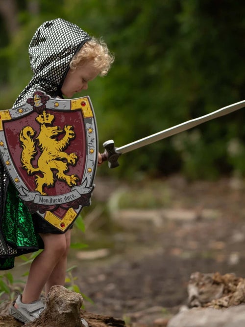 Scudo da cavaliere in schiuma honour | great pretenders | great pretenders - Kiabi Scudo da cavaliere in schiuma honour | great pretenders | great pretenders - Kiabi