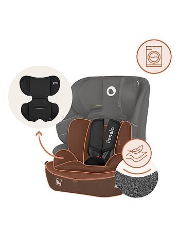 Seggiolino auto convertibile LIONELO Billy i-Size - ISOFIX - Top Tether - 76-150 cm - Gruppo 1/2/3