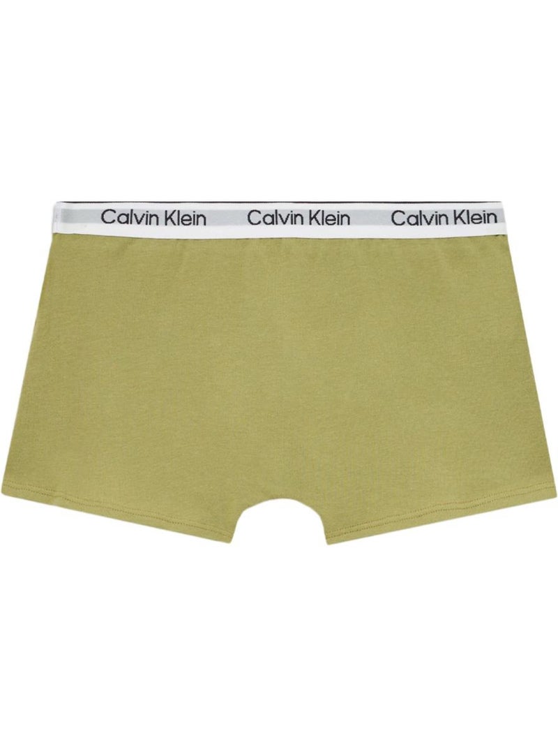 Set 2 Boxer Calvin Klein Jeans Ragazzo Verde - Kiabi