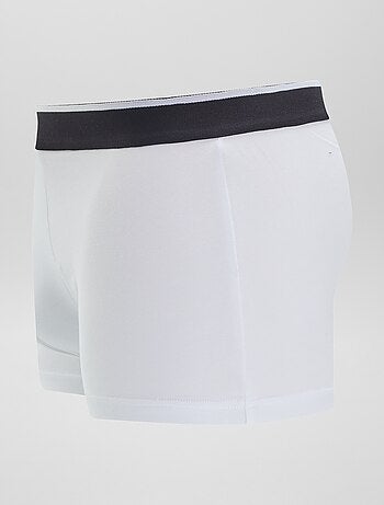 Set 3 boxer stretch