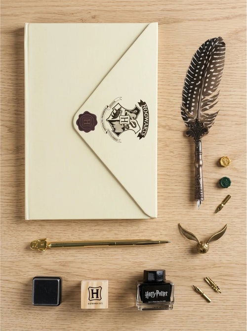 Set calligrafia penna stilografica e cartoleria gufo Harry Potter Warner Bros - Kiabi