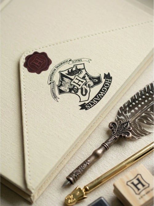 Set calligrafia penna stilografica e cartoleria gufo Harry Potter Warner Bros - Kiabi