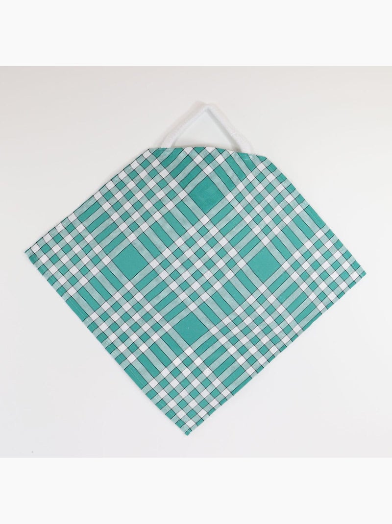 Set di 10 bavaglini in cotone a quadretti Vichy CLEAN Verde - Kiabi