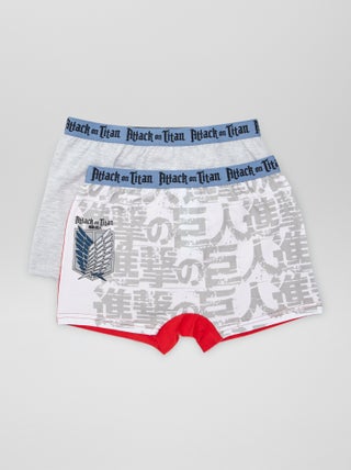 Set di 2 boxer 'L'attacco dei titani!