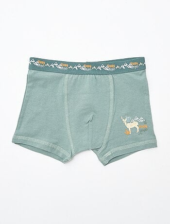 Set di 2 boxer 'Petit Béguin'