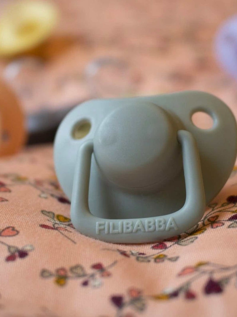 Set di 2 succhietti anatomici in silicone 6 mesi e oltre | filibabba | filibabba Grigio - Kiabi