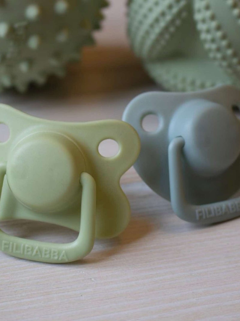 Set di 2 succhietti anatomici in silicone 6 mesi e oltre | filibabba | filibabba Grigio - Kiabi