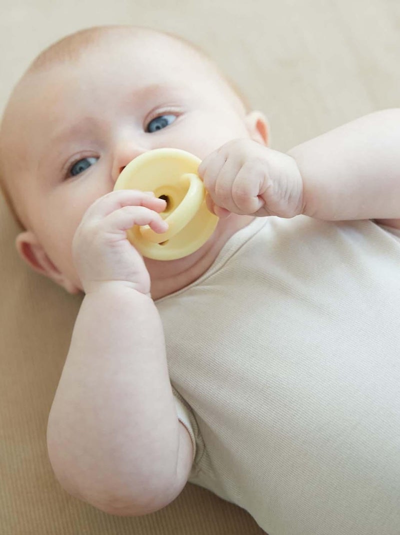 Set di 2 succhietti in silicone - 0 - 36 mesi | Filibabba Viola - Kiabi