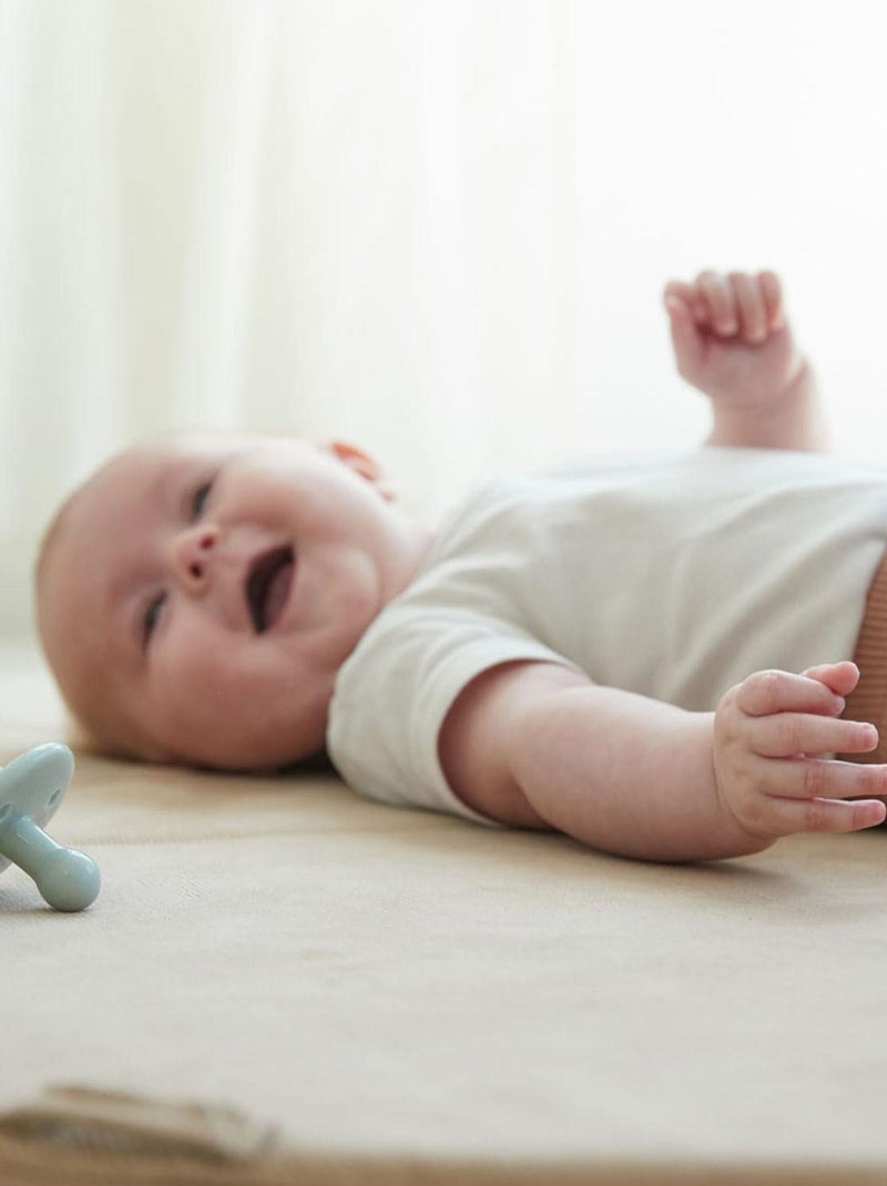 Set di 2 succhietti in silicone - 0 - 36 mesi | Filibabba Viola - Kiabi