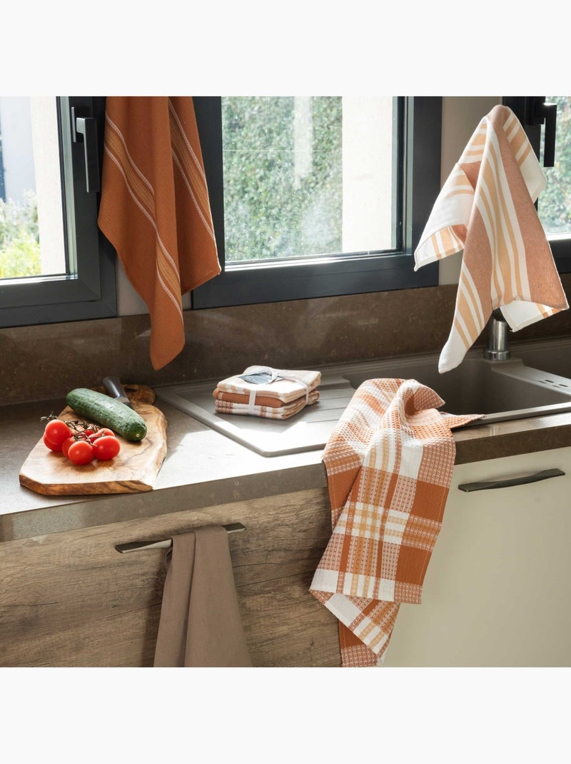 Set di 3 asciugamani da cucina in cotone Bronzo - Kiabi