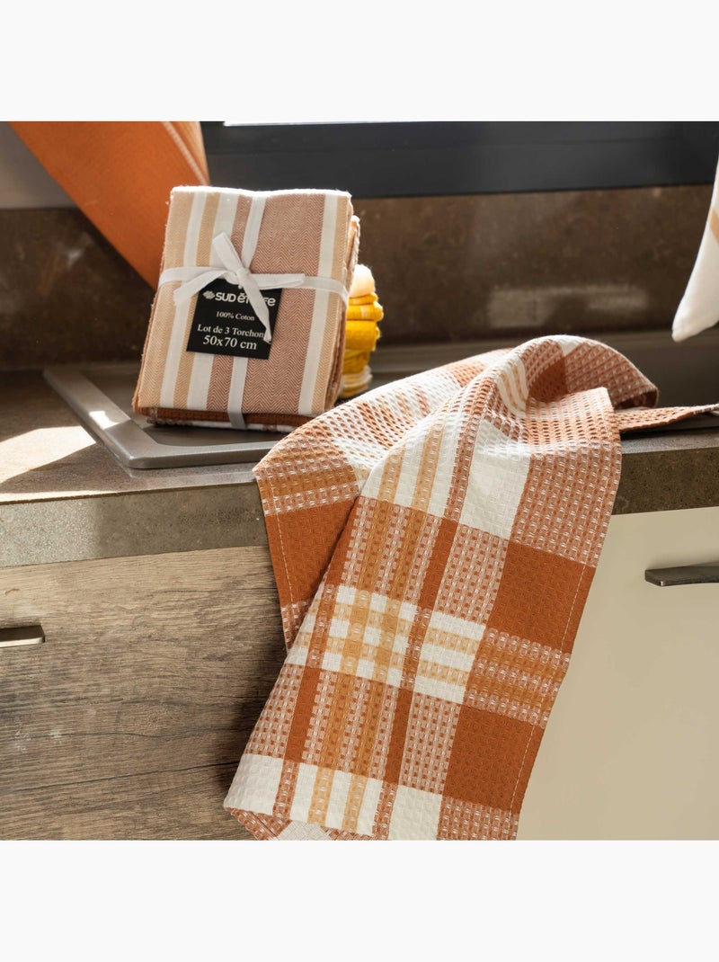 Set di 3 asciugamani da cucina in cotone Bronzo - Kiabi