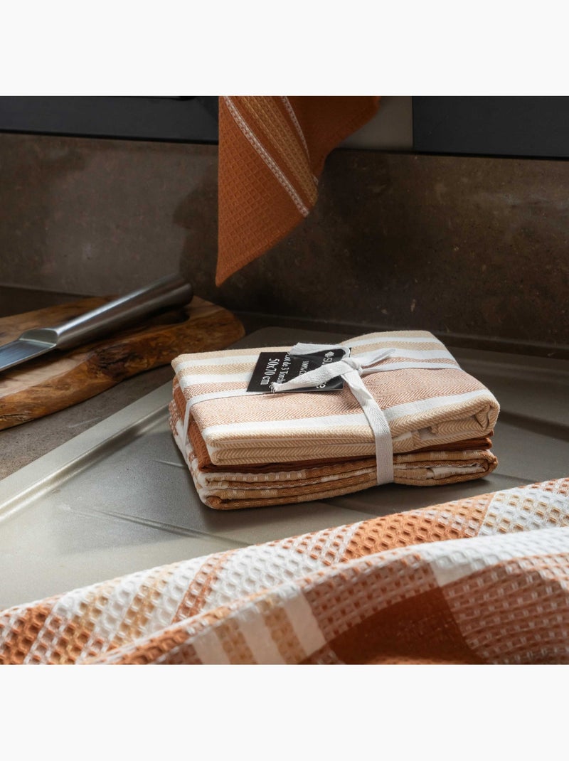 Set di 3 asciugamani da cucina in cotone Bronzo - Kiabi