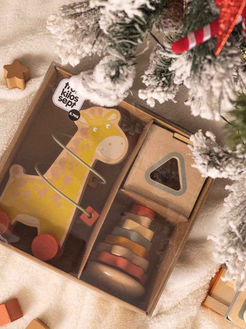 Set di 3 giocattoli educativi in legno Multicolore - Kiabi