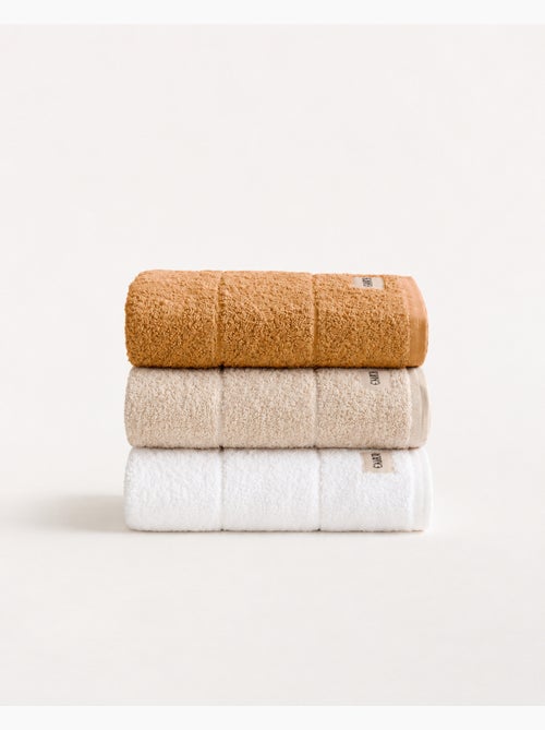 Set di 3 strofinacci da cucina 100% cotone, colori assortiti, tessuto spugna - Gamusi. - Kiabi