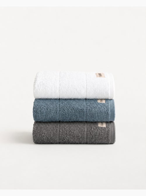 Set di 3 strofinacci da cucina 100% cotone, colori assortiti, tessuto spugna - Gamusi. - Kiabi