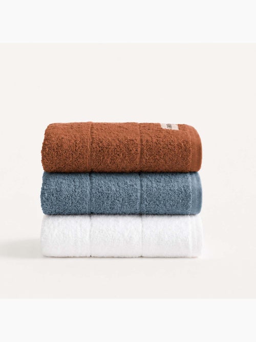 Set di 3 strofinacci da cucina 100% cotone, colori assortiti, tessuto spugna - Gamusi. - Kiabi