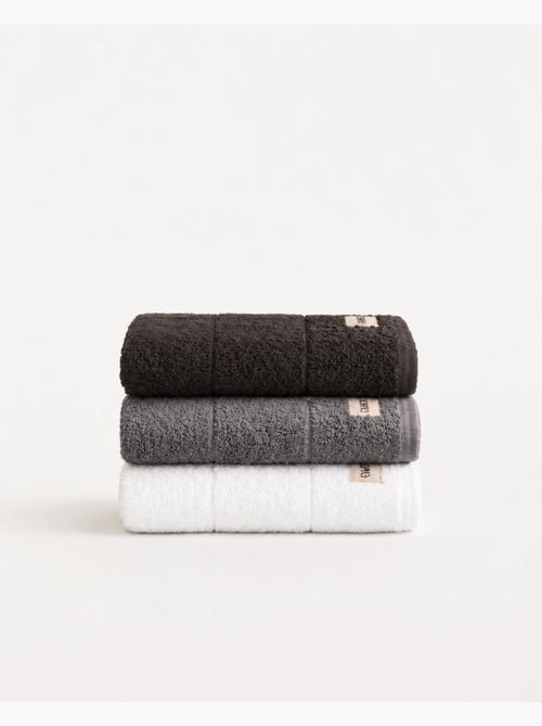 Set di 3 strofinacci da cucina 100% cotone, colori assortiti, tessuto spugna - Gamusi. - Kiabi