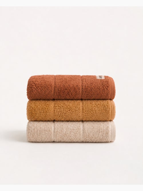 Set di 3 strofinacci da cucina 100% cotone, colori assortiti, tessuto spugna - Gamusi. - Kiabi