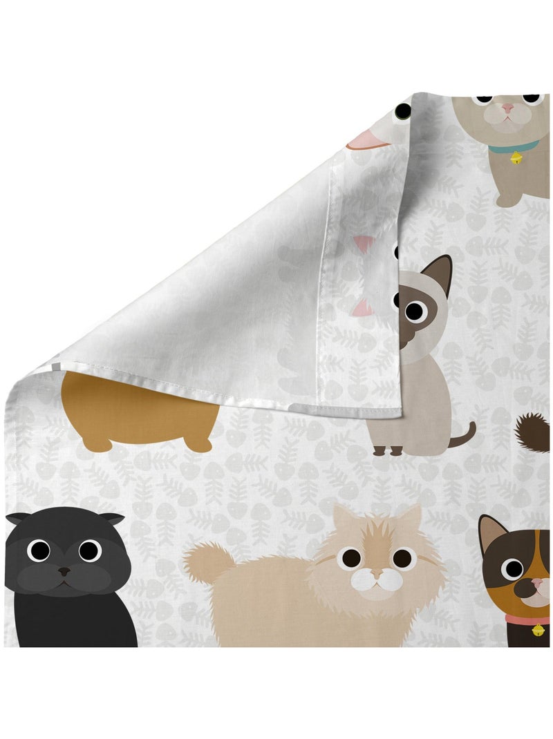 Set lenzuola 2 pezzi Cats "Happyfriday" Bianco - Kiabi