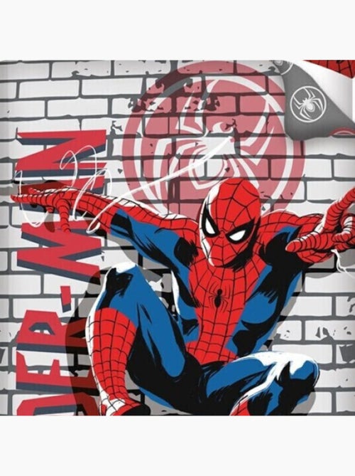 Set letto in Microfibra Douceur d'Intérieur - Kiabi