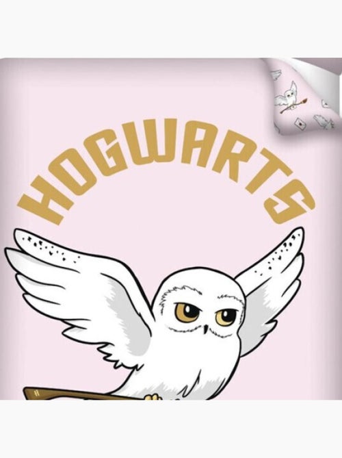 Set letto in Microfibra Douceur d'Intérieur - Kiabi