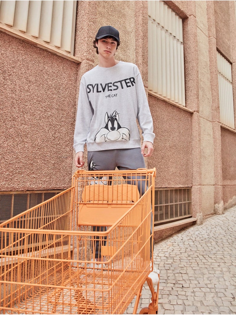 Set pigiama uomo Sylvester in punto interlock Grigio melangiato - Kiabi