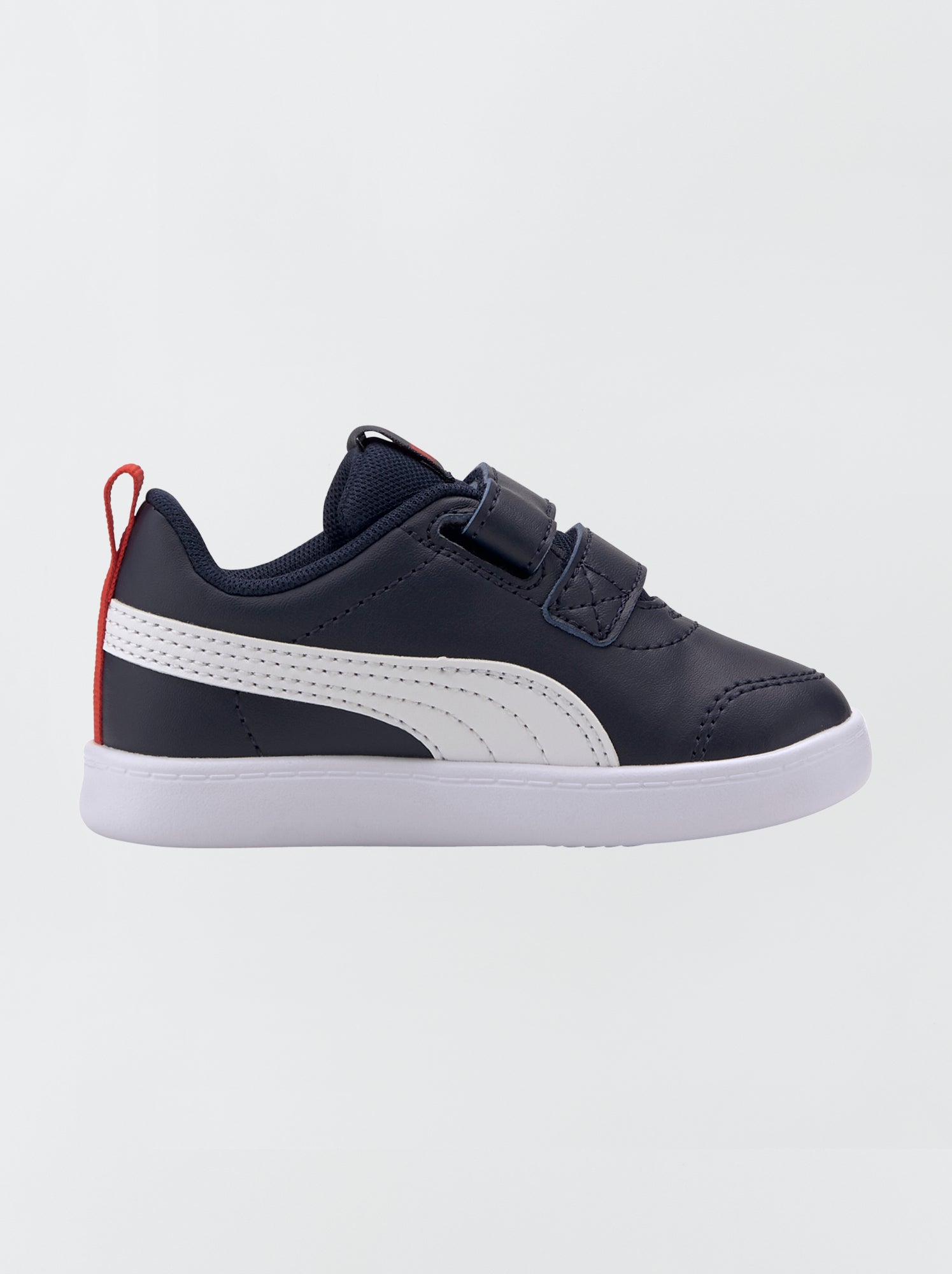 Puma neonata