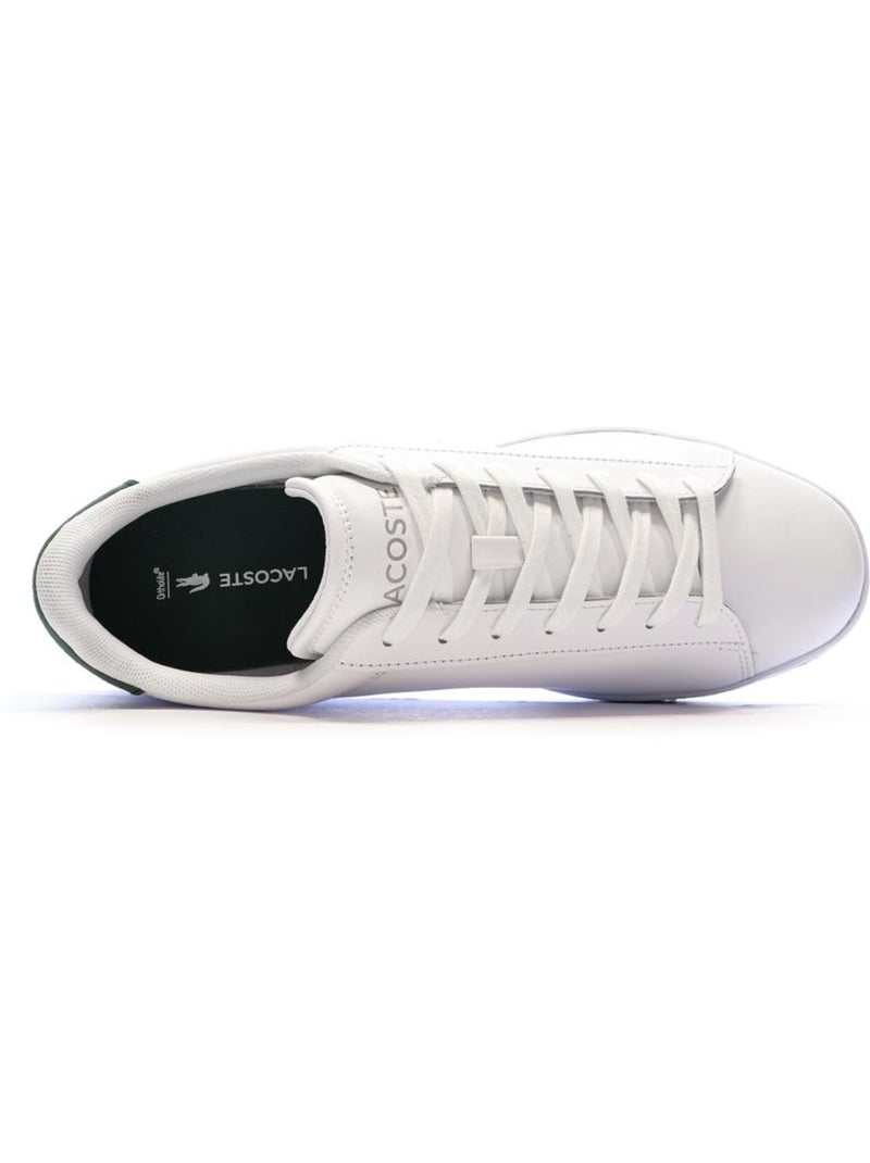 Sneakers Lacoste da Uomo Bianco - Kiabi