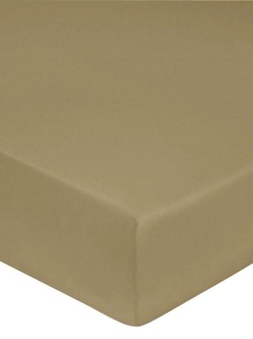 Sottolenzuolo con angoli raso di cotone - Kiabi