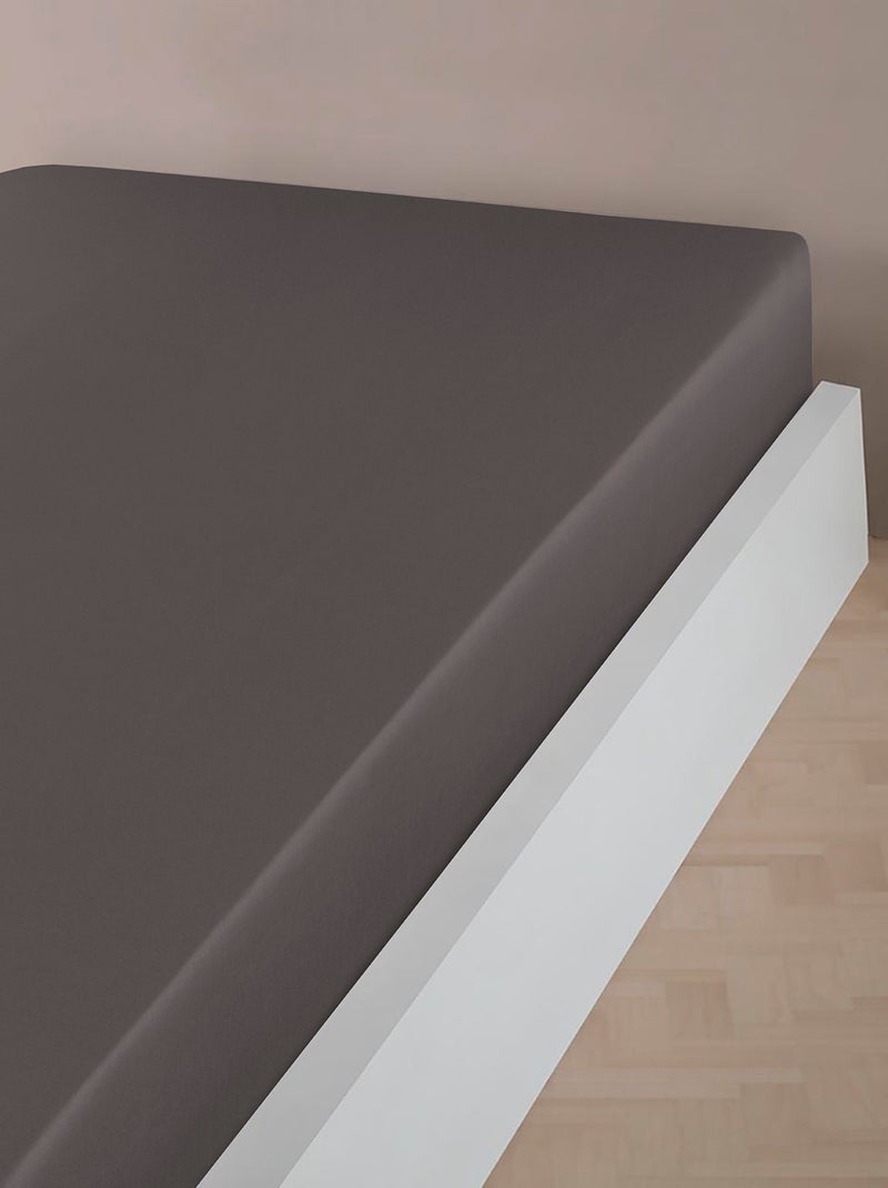 Sottolenzuolo con angoli raso di cotone Grigio antracite - Kiabi