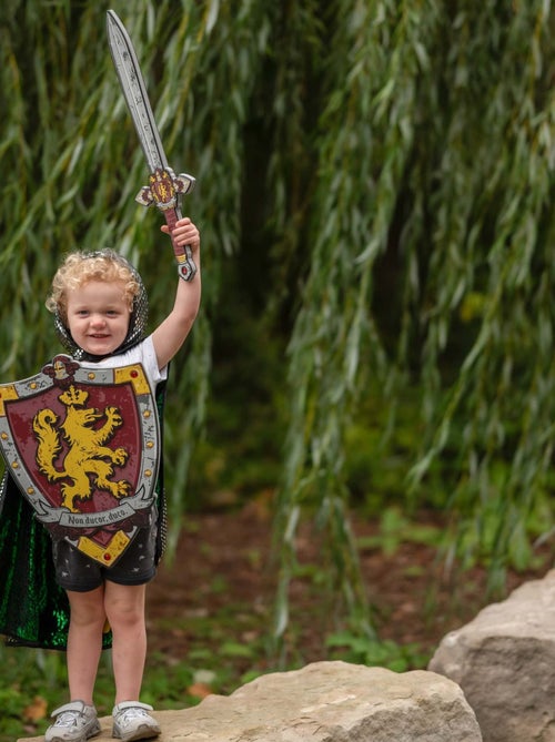 Spada da cavaliere in schiuma honour | great pretenders | great pretenders - Kiabi Spada da cavaliere in schiuma honour | great pretenders | great pretenders - Kiabi