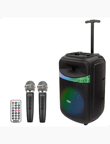 Speaker wireless 220w valigia con karaoke e 2 microfoni 27x25x40 cm bontempi