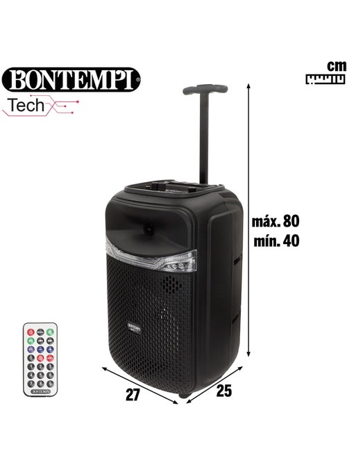Speaker wireless 220w valigia con karaoke e 2 microfoni 27x25x40 cm bontempi - Kiabi