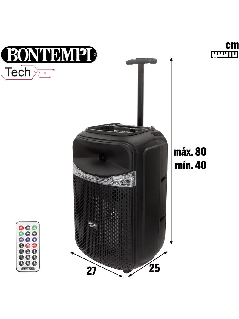 Speaker wireless 220w valigia con karaoke e 2 microfoni 27x25x40 cm bontempi N/D - Kiabi