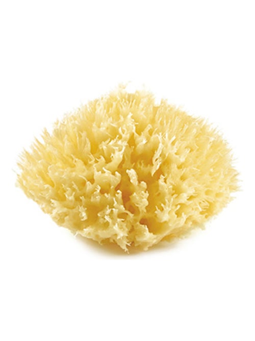 Spugna naturale di mare a nido d’ape Thermobaby per il bagnetto del bebè - Kiabi Spugna naturale di mare a nido d’ape Thermobaby per il bagnetto del bebè - Kiabi