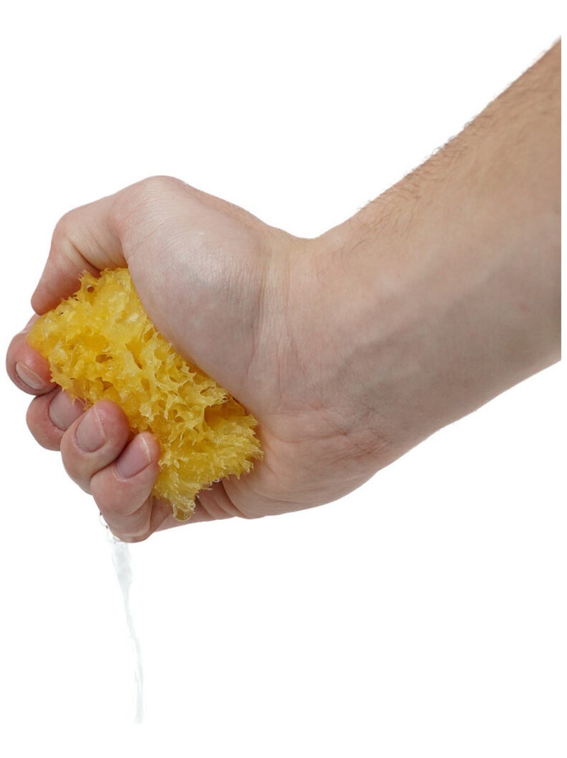 Spugna naturale di mare a nido d’ape Thermobaby per il bagnetto del bebè Giallo - Kiabi