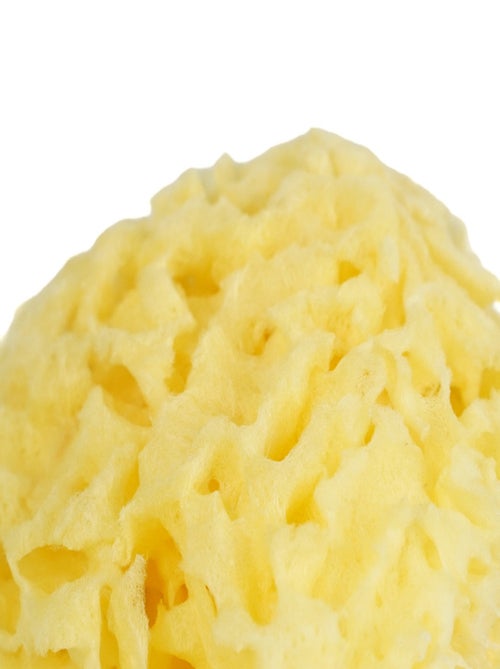 Spugna naturale di mare a nido d’ape Thermobaby per il bagnetto del bebè - Kiabi Spugna naturale di mare a nido d’ape Thermobaby per il bagnetto del bebè - Kiabi