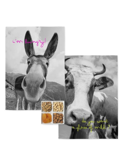 Strofinaccio (2 pezzi) Farm "Happyfriday" - Kiabi