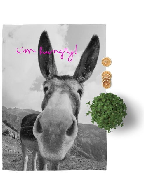 Strofinaccio (2 pezzi) Farm "Happyfriday" - Kiabi