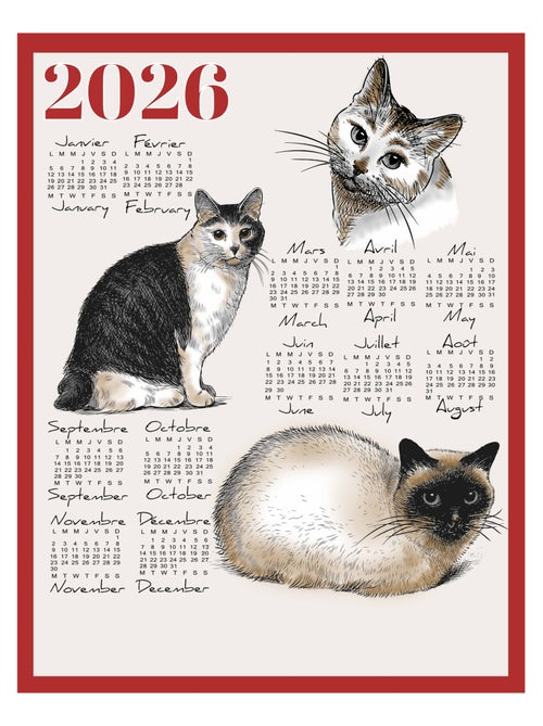 Strofinaccio calendario 2026 con motivo gatti in cotone - Kiabi