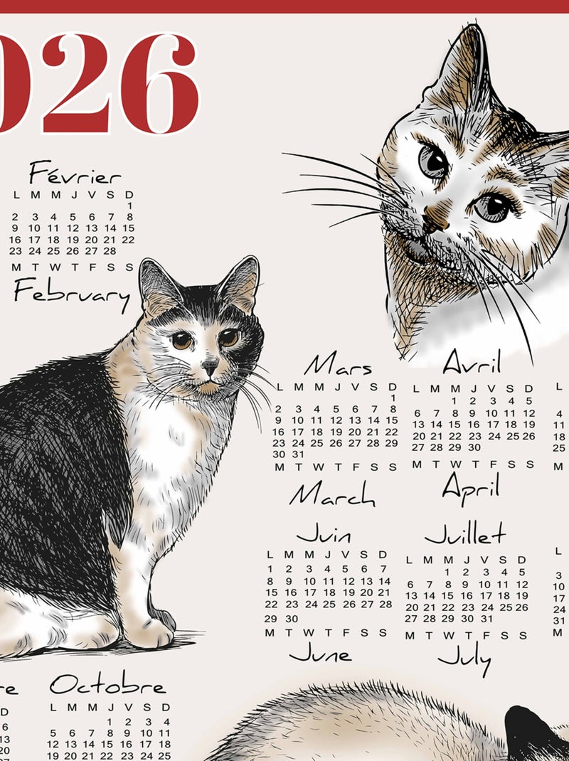 Strofinaccio calendario 2026 con motivo gatti in cotone Rosso - Kiabi