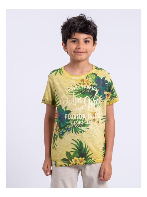 T-shirt a maniche corte girocollo puro cotone NABANE-J - Kiabi